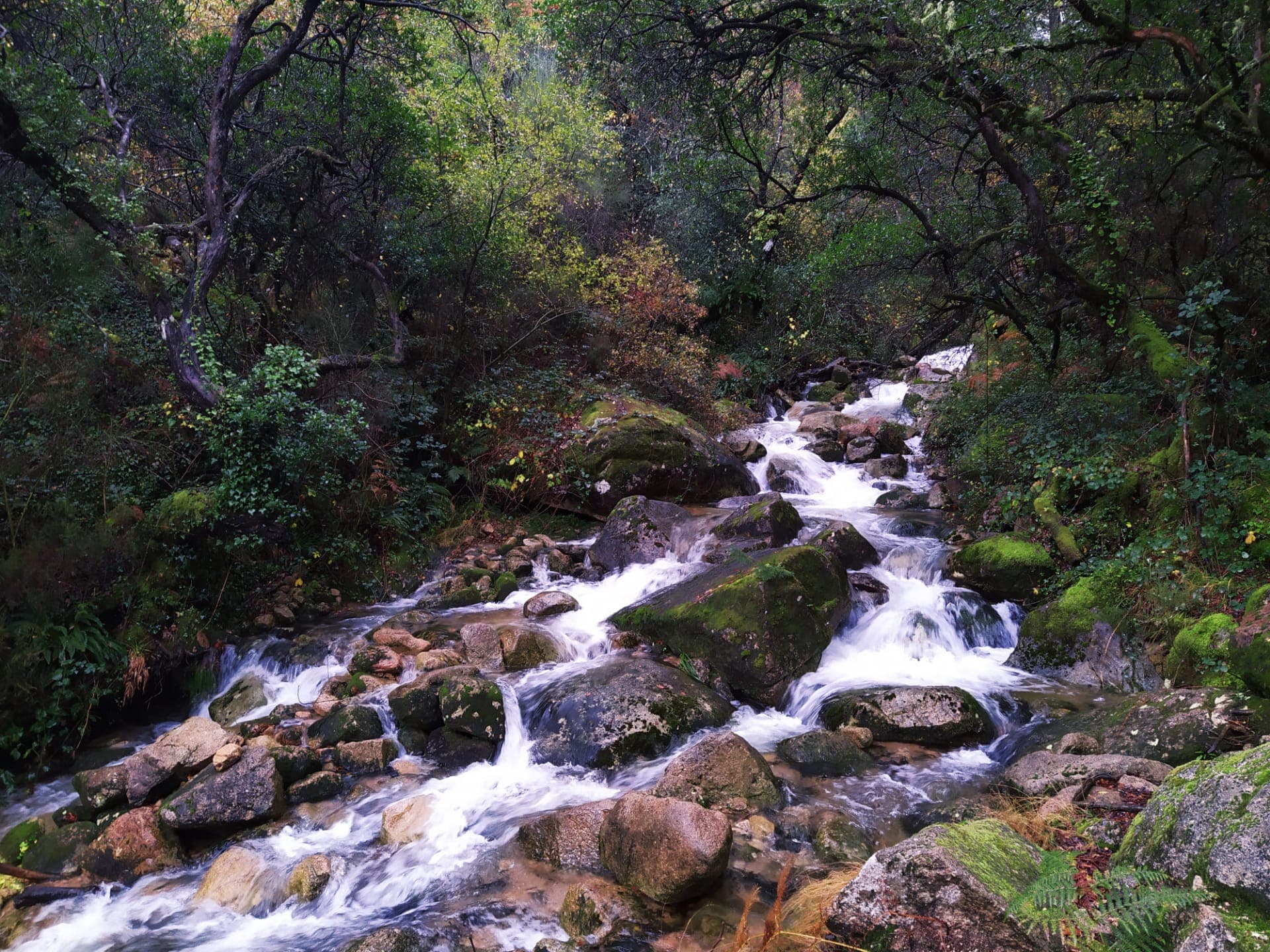 Mountain landscape in Portugal’s Peneda-Gerês National Park