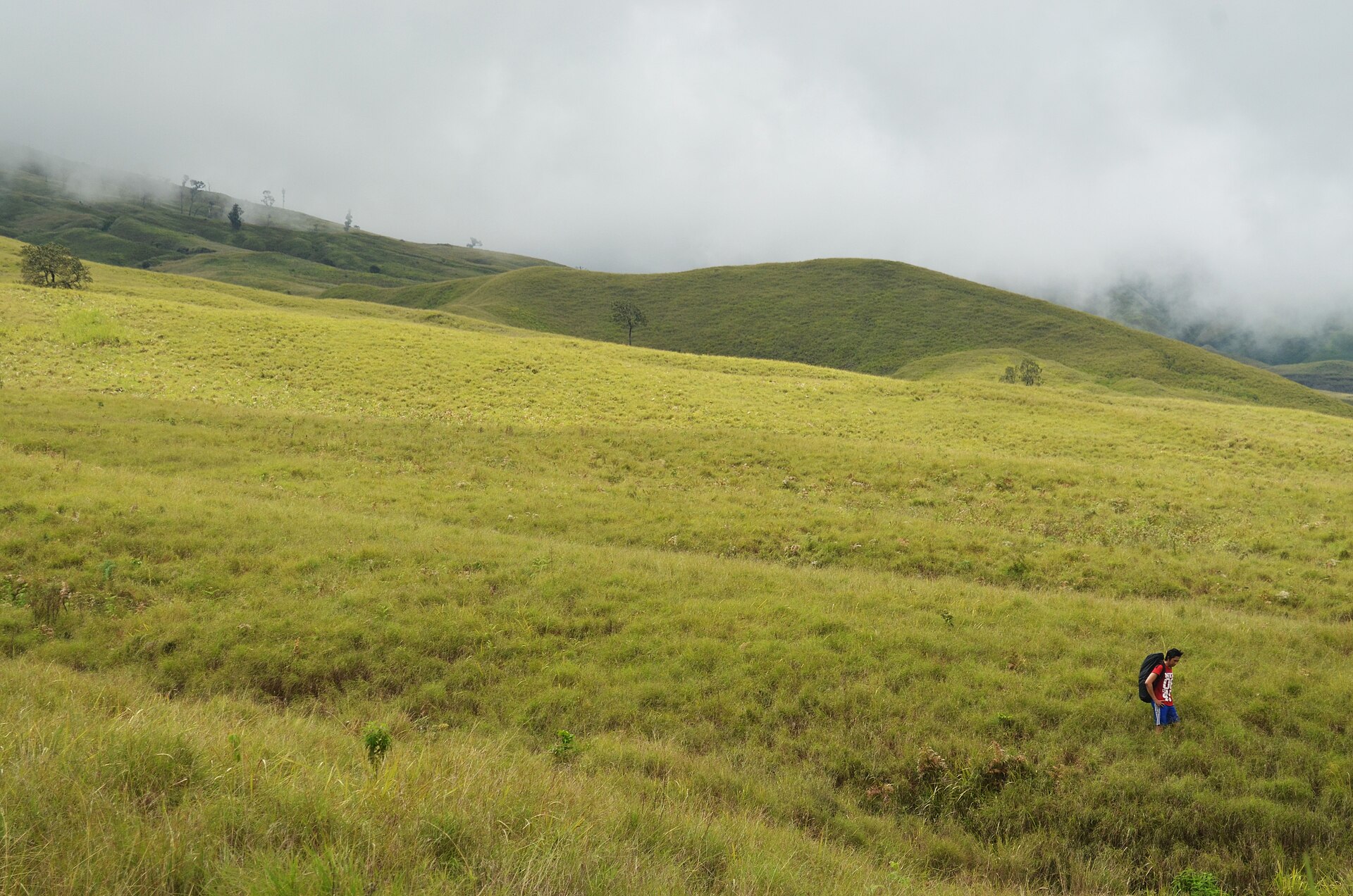 La sabana cerca del primer puesto de la ruta de Sembalun