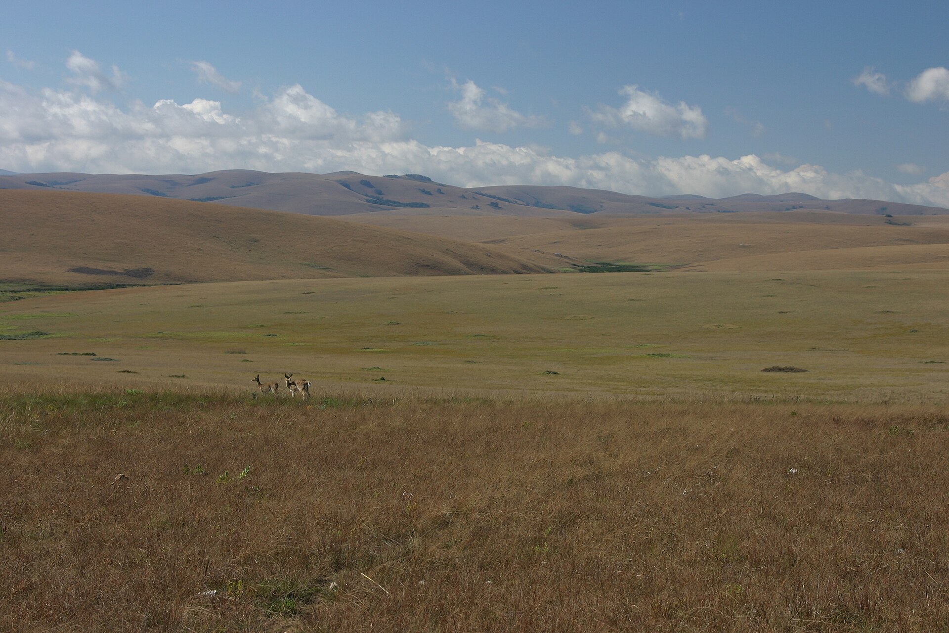 Las praderas de la meseta de Nyika, en Malaui