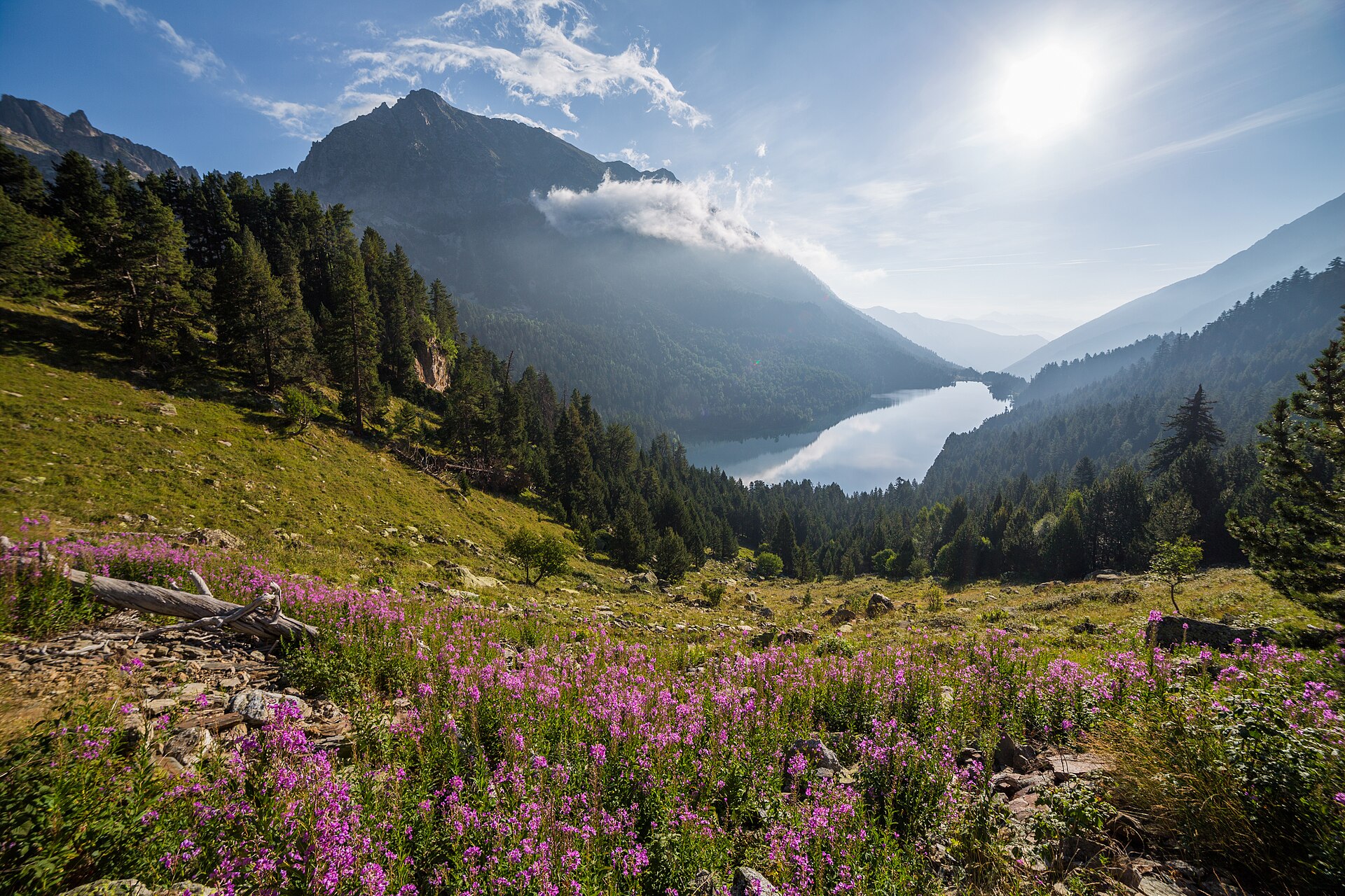 Sant Maurici lake in Aigüestortes National Park